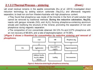 Processes for phosphorus removal from iron ore -.pdf