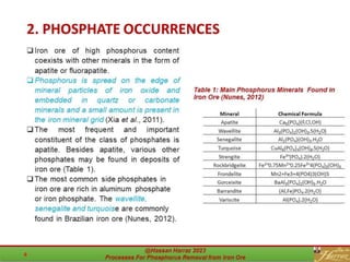 Processes for phosphorus removal from iron ore -.pdf