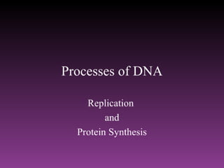 DNA Replication and Protein Synthesis
