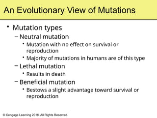 Processes of Evolution.pptx earth and life | PPTX