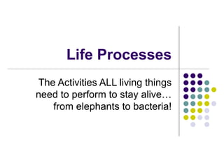 Life Processes The Activities ALL living things need to perform to stay alive… from elephants to bacteria! 