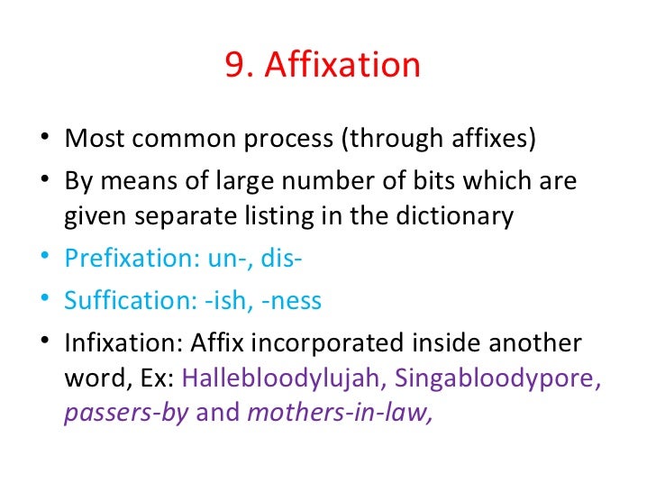 examples of word examples of word