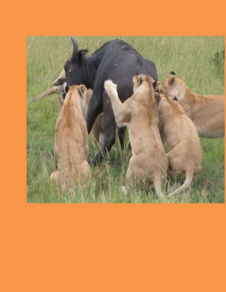 Point # 2:
Involve your workers in process Improvement
Your people are your most valuable source of ideas and information.They will spot the
opportunities and problems faster than you.Process Improvement will be successful if
workers come up with their own solutions.After all,Who likes to be bossed around?
 