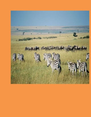 Point #3 :
Align and Guide your Metrics
You can't manage what you can't measure.Metrics are critical mechanism for making
problems and performance visible and helping to guide better decisions.Make sure
you're measuring what you should be measuring,that the data is telling you what you
think it's telling you,and that you've thought through how the information will be useful.
 