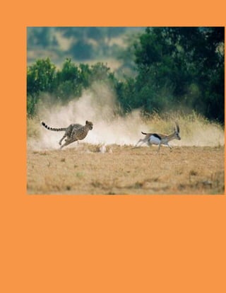 Point #5 :
Consider Technology
Today's technology is faster,lighter and easier to implement than ever
before.You have the potential to radically redesign and reinvent your process
for improved business performance and happier customers.And if you don't do
it,you can bet your bottom dollar that your competitors are working out how
they're going to. So it time to cosy up and get friendly with your IT team....
 