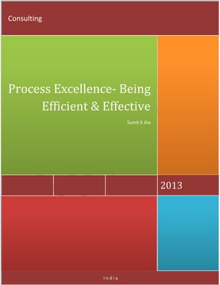 India 2013 Process Excellence- Being Efficient & Effective Sumit K Jha Consulting  