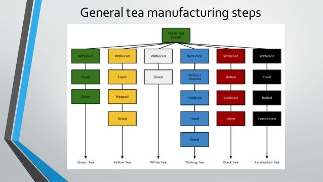 Process flow chart tea processing
