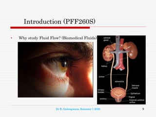 Introduction (PFF260S)
• Why study Fluid Flow? (Biomedical Fluids)
9
Dr B. Godongwana, Semester 1 2020
 