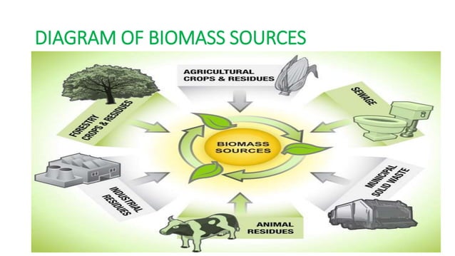 Process for biomass conversion | PPTX | Chemistry | Science