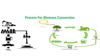 Comprehensive Overview of Biomass Conversion Processes and Biofuels | PPTX