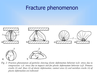 Fracture phenomenon
 