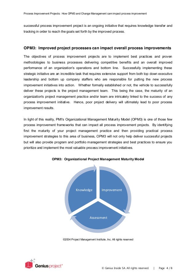 Dplaes project management process improvement essay example 08 image