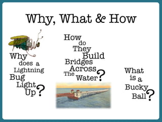 Why, What & How
How
do
They
Build
Bridges
Across
The
Water
?
Why
does a
Lightning
Bug
Light
Up?
What
is a
Bucky
Ball?
 