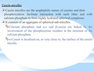 Casein micelles
Casein micelles are the amphiphilic nature of caseins and their
phosphorylation facilitate interaction with each other and with
calcium phosphate to form highly hydrated spherical complexes.
It consists of an aggregate of spherical sub-micelles.
Calcium phosphate and α-s and β-casein are linked by the
involvement of the phosphoserine residues in the structure of the
calcium phosphate.
κ-Casein is localized on, or very close to, the surface of the casein
micelle.
 