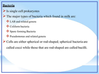Bacteria
Is single cell prokaryotes
The major types of bacteria which found in milk are:
 LAB and related genera
 Coliform bacteria
 Spore forming Bacteria
 Pseudomonas and related genera
Cells are either spherical or rod-shaped; spherical bacteria are
called cocci while those that are rod-shaped are called bacilli.
 