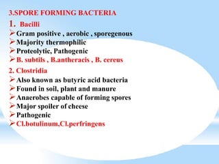 3.SPORE FORMING BACTERIA
1. Bacilli
Gram positive , aerobic , sporegenous
Majority thermophilic
Proteolytic, Pathogenic
B. subtils , B.antheracis , B. cereus
2. Clostridia
Also known as butyric acid bacteria
Found in soil, plant and manure
Anaerobes capable of forming spores
Major spoiler of cheese
Pathogenic
Cl.botulinum,Cl.perfringens
 