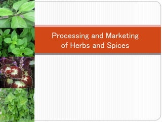 Processing and Marketing
of Herbs and Spices
 