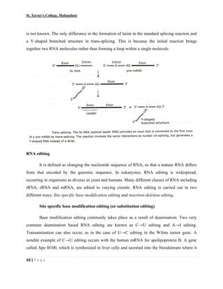 St. Xavier’s College, Mahuadanr
10 | P a g e
is not known. The only difference in the formation of lariat in the standard splicing reaction and
a Y-shaped branched structure in trans-splicing. This is because the initial reaction brings
together two RNA molecules rather than forming a loop within a single molecule.
RNA editing
It is defined as changing the nucleotide sequence of RNA, so that a mature RNA differs
from that encoded by the genomic sequence. In eukaryotes, RNA editing is widespread,
occurring in organisms as diverse as yeast and humans. Many different classes of RNA including
tRNA, rRNA and mRNA, are edited to varying extents. RNA editing is carried out in two
different ways: Site specific base modification editing and insertion-deletion editing.
Site specific base modification editing (or substitution editing)
Base modification editing commonly takes place as a result of deamination. Two very
common deamination based RNA editing are known as C→U editing and A→I editing.
Transamination can also occur, as in the case of U→C editing in the Wilms tumor gene. A
notable example of C→U editing occurs with the human mRNA for apolipoprotein B. A gene
called Apo B100, which is synthesized in liver cells and secreted into the bloodstream where it
 