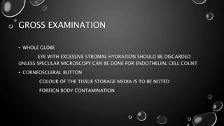 GROSS EXAMINATION
• WHOLE GLOBE
EYE WITH EXCESSIVE STROMAL HYDRATION SHOULD BE DISCARDED
UNLESS SPECULAR MICROSCOPY CAN BE DONE FOR ENDOTHELIAL CELL COUNT
• CORNEOSCLERAL BUTTON
COLOUR OF THE TISSUE STORAGE MEDIA IS TO BE NOTED
FOREIGN BODY CONTAMINATION
 
