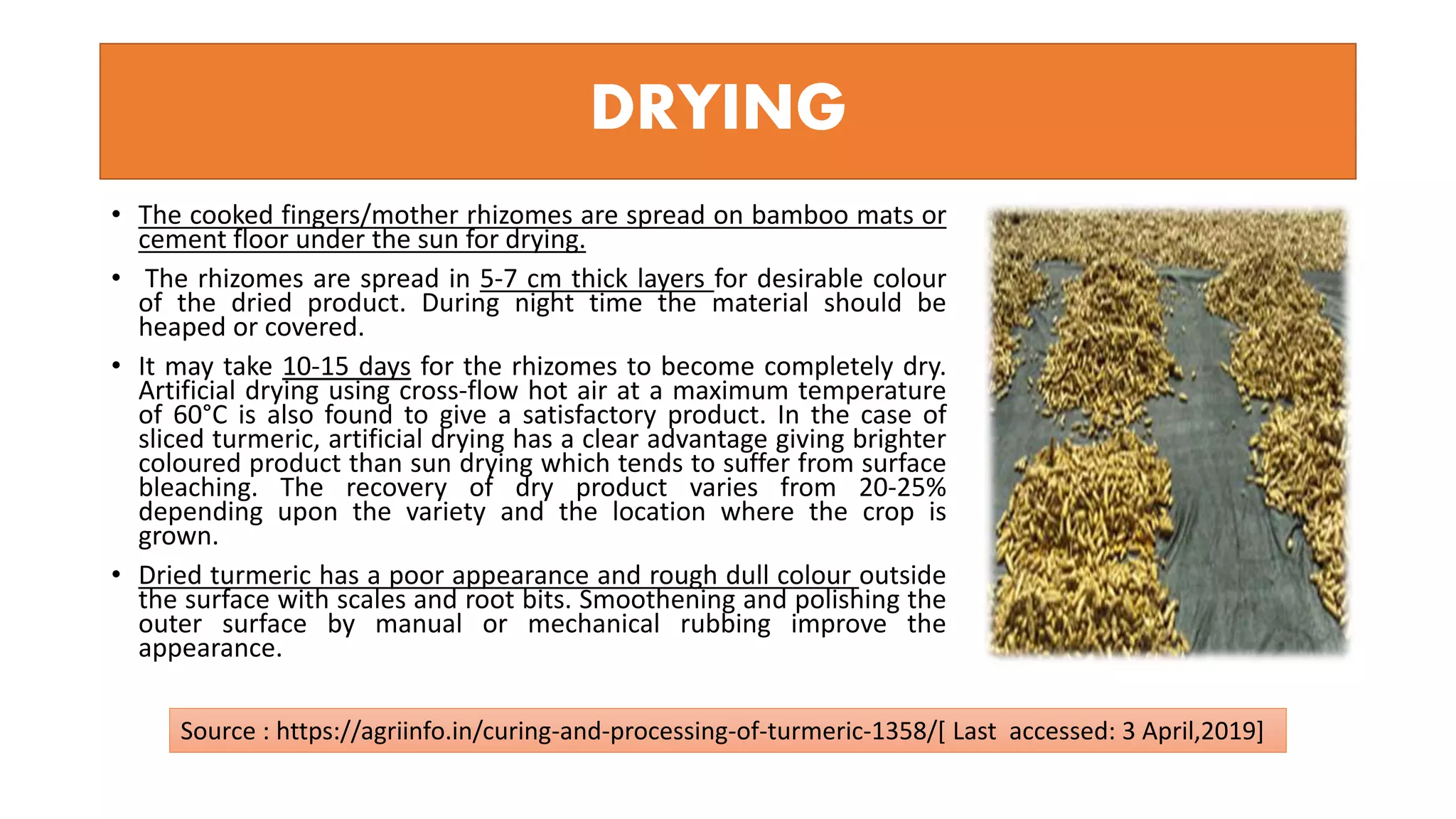 DRYING
• The cooked fingers/mother rhizomes are spread on bamboo mats or
cement floor under the sun for drying.
• The rhizomes are spread in 5-7 cm thick layers for desirable colour
of the dried product. During night time the material should be
heaped or covered.
• It may take 10-15 days for the rhizomes to become completely dry.
Artificial drying using cross-flow hot air at a maximum temperature
of 60°C is also found to give a satisfactory product. In the case of
sliced turmeric, artificial drying has a clear advantage giving brighter
coloured product than sun drying which tends to suffer from surface
bleaching. The recovery of dry product varies from 20-25%
depending upon the variety and the location where the crop is
grown.
• Dried turmeric has a poor appearance and rough dull colour outside
the surface with scales and root bits. Smoothening and polishing the
outer surface by manual or mechanical rubbing improve the
appearance.
Source : https://agriinfo.in/curing-and-processing-of-turmeric-1358/[ Last accessed: 3 April,2019]
 