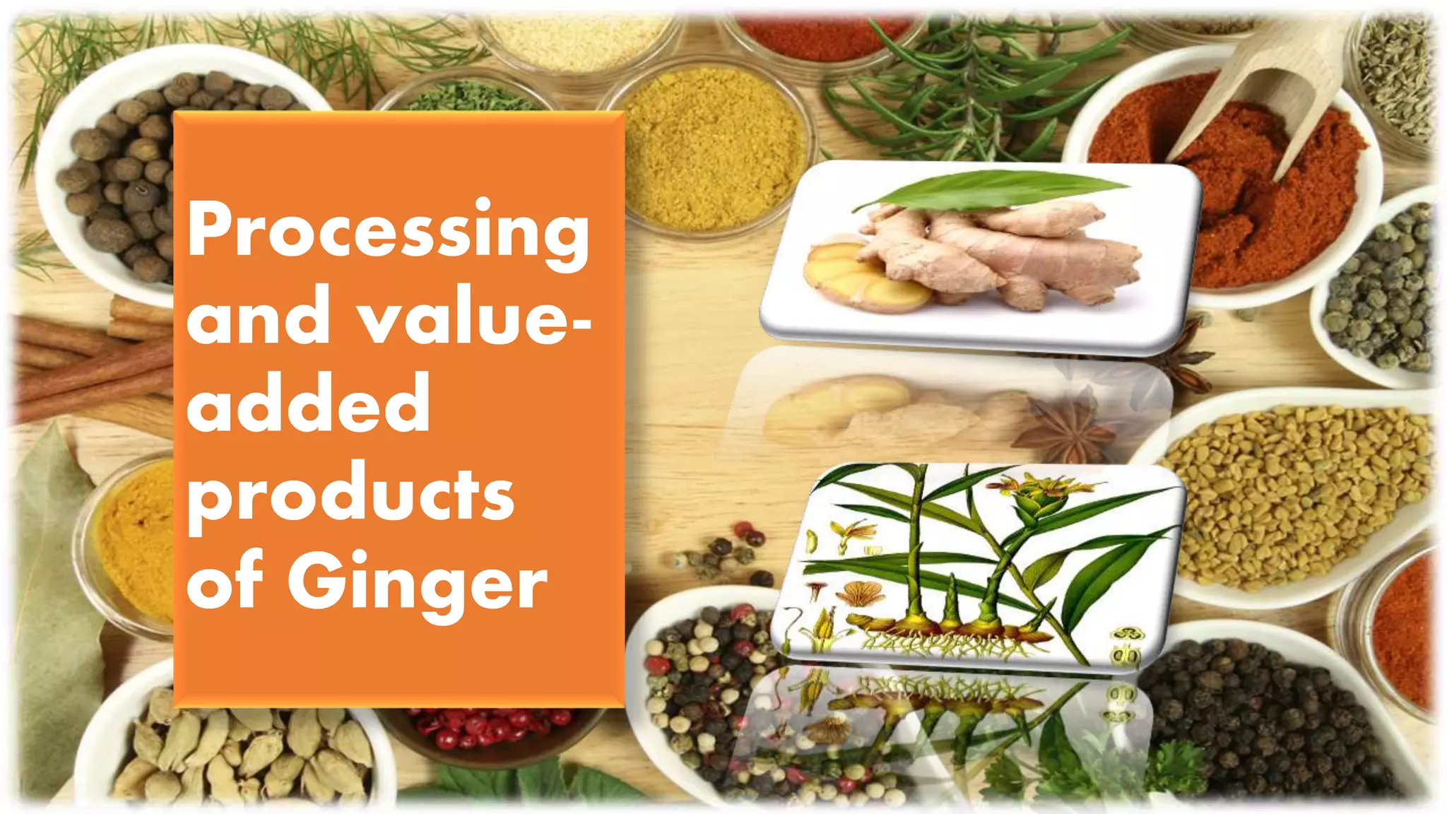 Processing
and value-
added
products
of Ginger
 