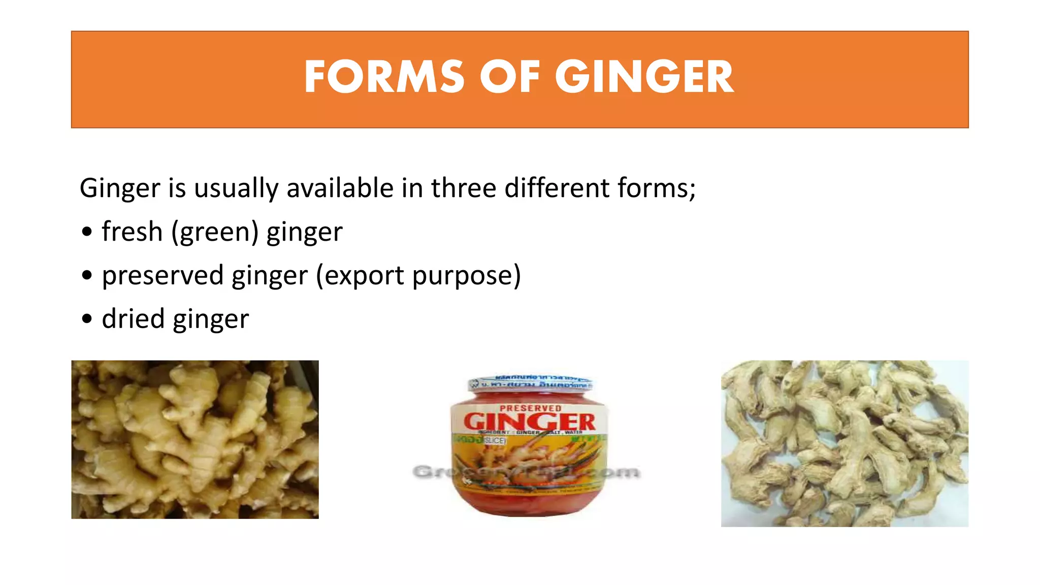 FORMS OF GINGER
Ginger is usually available in three different forms;
• fresh (green) ginger
• preserved ginger (export purpose)
• dried ginger
 