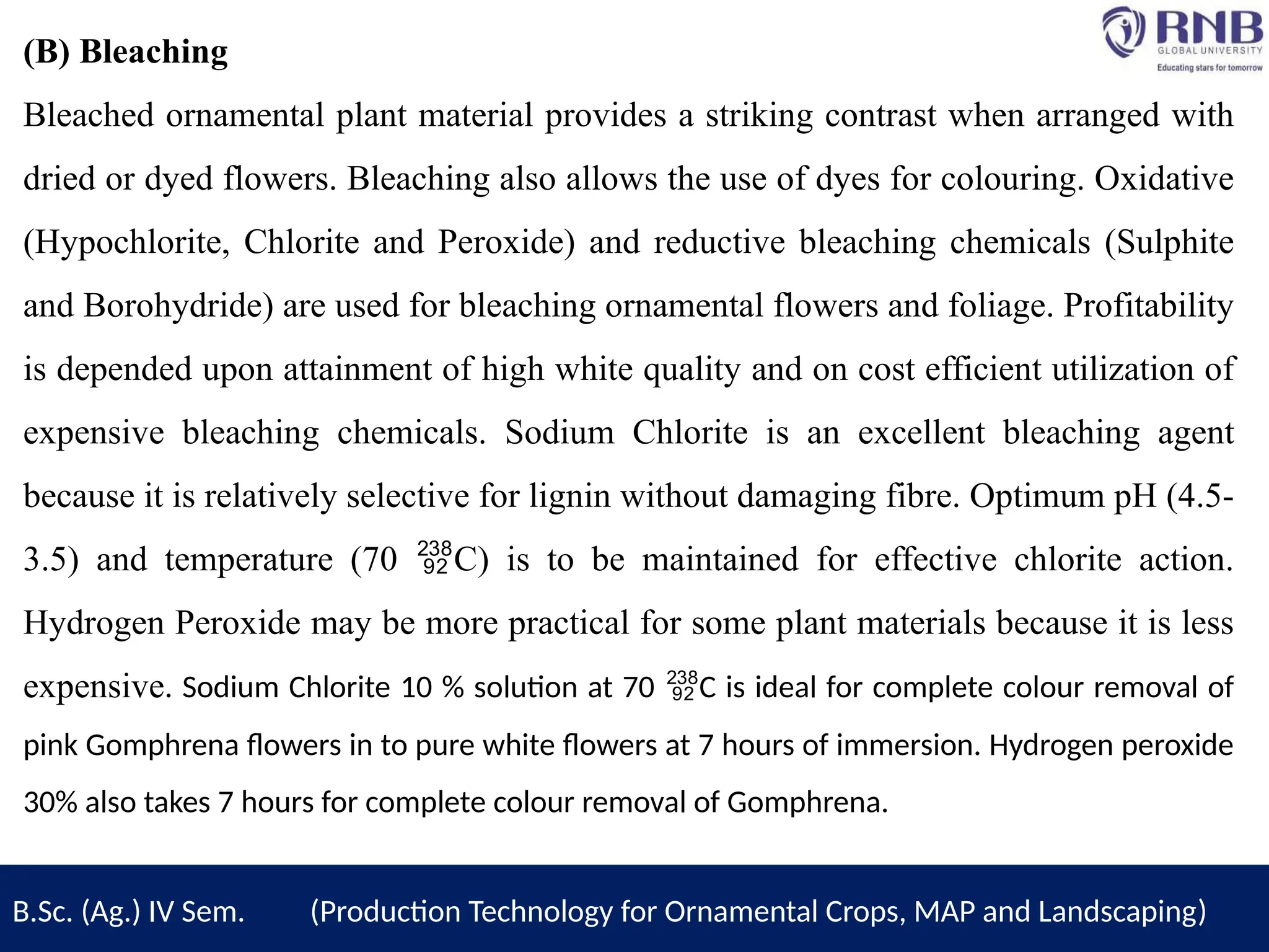 (B) Bleaching
Bleached ornamental plant material provides a striking contrast when arranged with
dried or dyed flowers. Bleaching also allows the use of dyes for colouring. Oxidative
(Hypochlorite, Chlorite and Peroxide) and reductive bleaching chemicals (Sulphite
and Borohydride) are used for bleaching ornamental flowers and foliage. Profitability
is depended upon attainment of high white quality and on cost efficient utilization of
expensive bleaching chemicals. Sodium Chlorite is an excellent bleaching agent
because it is relatively selective for lignin without damaging fibre. Optimum pH (4.5-
3.5) and temperature (70 C) is to be maintained for effective chlorite action.

Hydrogen Peroxide may be more practical for some plant materials because it is less
expensive. Sodium Chlorite 10 % solution at 70 C is ideal for complete colour removal of

pink Gomphrena flowers in to pure white flowers at 7 hours of immersion. Hydrogen peroxide
30% also takes 7 hours for complete colour removal of Gomphrena.
B.Sc. (Ag.) IV Sem. (Production Technology for Ornamental Crops, MAP and Landscaping)
 
