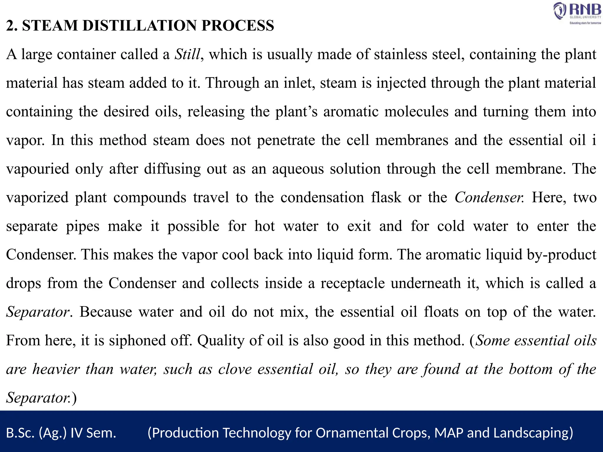 B.Sc. (Ag.) IV Sem. (Production Technology for Ornamental Crops, MAP and Landscaping)
2. STEAM DISTILLATION PROCESS
A large container called a Still, which is usually made of stainless steel, containing the plant
material has steam added to it. Through an inlet, steam is injected through the plant material
containing the desired oils, releasing the plant’s aromatic molecules and turning them into
vapor. In this method steam does not penetrate the cell membranes and the essential oil i
vapouried only after diffusing out as an aqueous solution through the cell membrane. The
vaporized plant compounds travel to the condensation flask or the Condenser. Here, two
separate pipes make it possible for hot water to exit and for cold water to enter the
Condenser. This makes the vapor cool back into liquid form. The aromatic liquid by-product
drops from the Condenser and collects inside a receptacle underneath it, which is called a
Separator. Because water and oil do not mix, the essential oil floats on top of the water.
From here, it is siphoned off. Quality of oil is also good in this method. (Some essential oils
are heavier than water, such as clove essential oil, so they are found at the bottom of the
Separator.)
 