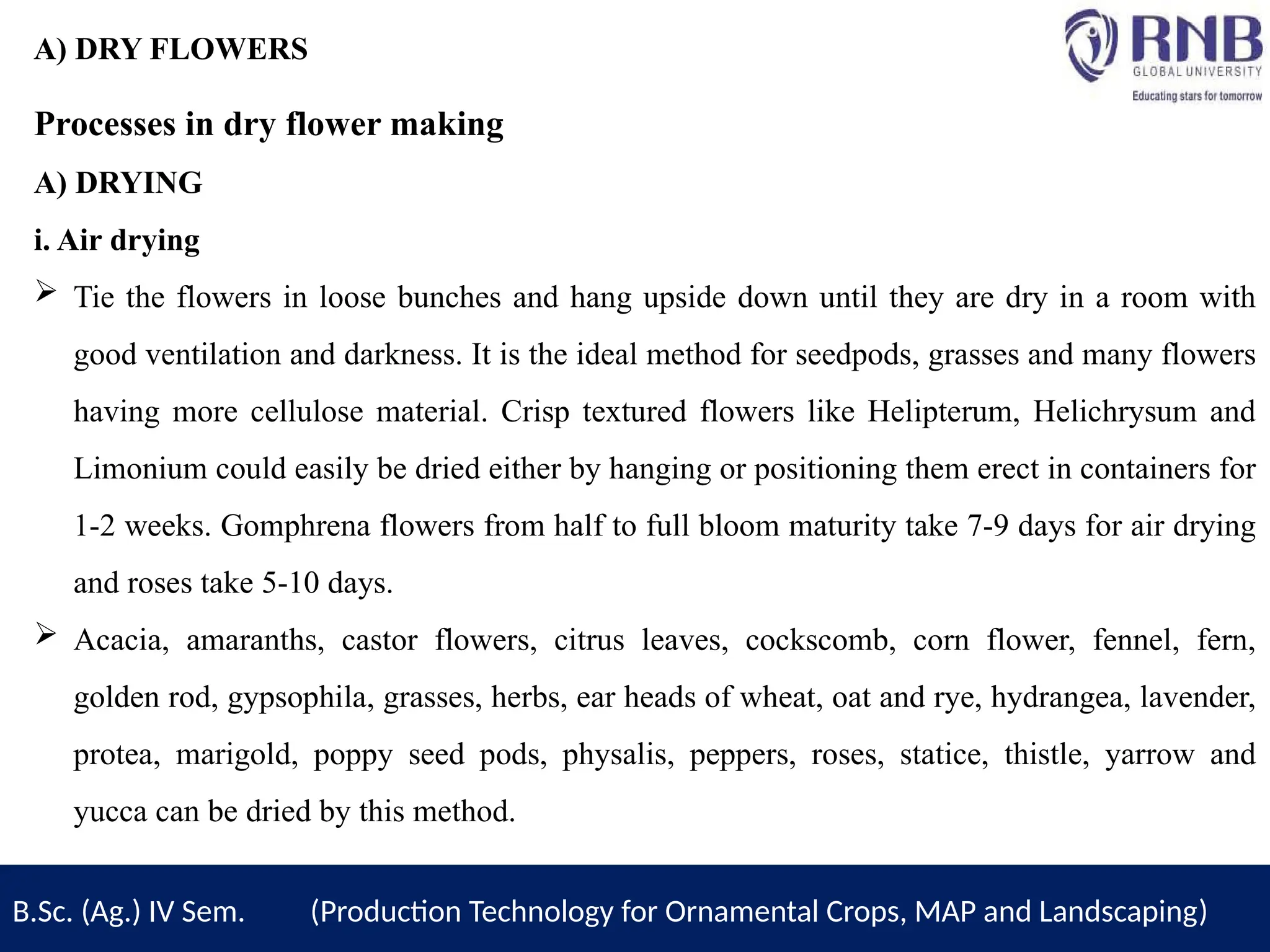 A) DRY FLOWERS
Processes in dry flower making
A) DRYING
i. Air drying
 Tie the flowers in loose bunches and hang upside down until they are dry in a room with
good ventilation and darkness. It is the ideal method for seedpods, grasses and many flowers
having more cellulose material. Crisp textured flowers like Helipterum, Helichrysum and
Limonium could easily be dried either by hanging or positioning them erect in containers for
1-2 weeks. Gomphrena flowers from half to full bloom maturity take 7-9 days for air drying
and roses take 5-10 days.
 Acacia, amaranths, castor flowers, citrus leaves, cockscomb, corn flower, fennel, fern,
golden rod, gypsophila, grasses, herbs, ear heads of wheat, oat and rye, hydrangea, lavender,
protea, marigold, poppy seed pods, physalis, peppers, roses, statice, thistle, yarrow and
yucca can be dried by this method.
B.Sc. (Ag.) IV Sem. (Production Technology for Ornamental Crops, MAP and Landscaping)
 