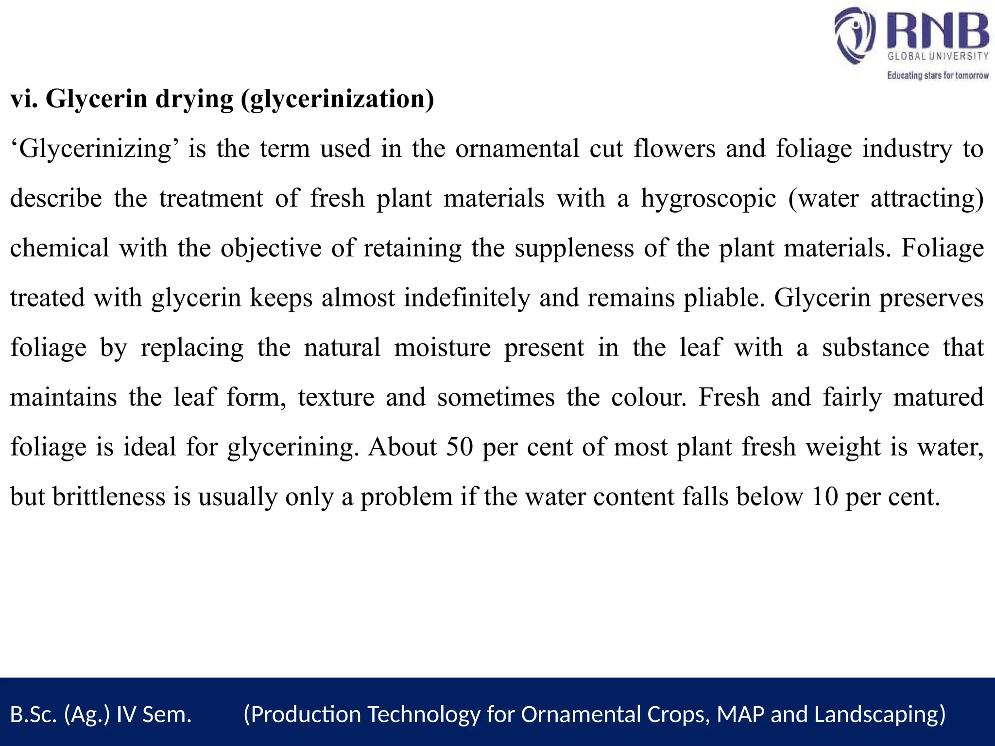 vi. Glycerin drying (glycerinization)
‘Glycerinizing’ is the term used in the ornamental cut flowers and foliage industry to
describe the treatment of fresh plant materials with a hygroscopic (water attracting)
chemical with the objective of retaining the suppleness of the plant materials. Foliage
treated with glycerin keeps almost indefinitely and remains pliable. Glycerin preserves
foliage by replacing the natural moisture present in the leaf with a substance that
maintains the leaf form, texture and sometimes the colour. Fresh and fairly matured
foliage is ideal for glycerining. About 50 per cent of most plant fresh weight is water,
but brittleness is usually only a problem if the water content falls below 10 per cent.
B.Sc. (Ag.) IV Sem. (Production Technology for Ornamental Crops, MAP and Landscaping)
 
