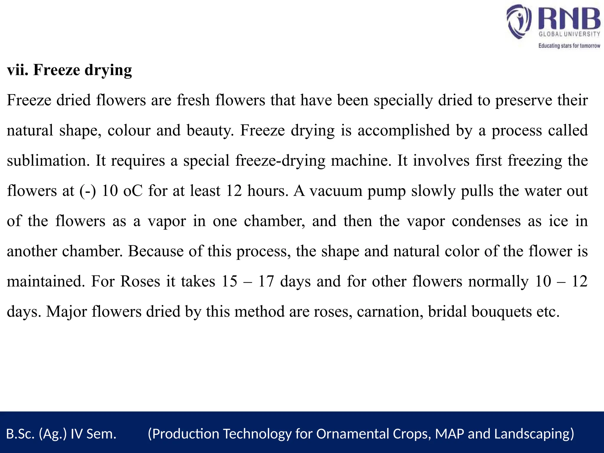 vii. Freeze drying
Freeze dried flowers are fresh flowers that have been specially dried to preserve their
natural shape, colour and beauty. Freeze drying is accomplished by a process called
sublimation. It requires a special freeze-drying machine. It involves first freezing the
flowers at (-) 10 oC for at least 12 hours. A vacuum pump slowly pulls the water out
of the flowers as a vapor in one chamber, and then the vapor condenses as ice in
another chamber. Because of this process, the shape and natural color of the flower is
maintained. For Roses it takes 15 – 17 days and for other flowers normally 10 – 12
days. Major flowers dried by this method are roses, carnation, bridal bouquets etc.
B.Sc. (Ag.) IV Sem. (Production Technology for Ornamental Crops, MAP and Landscaping)
 