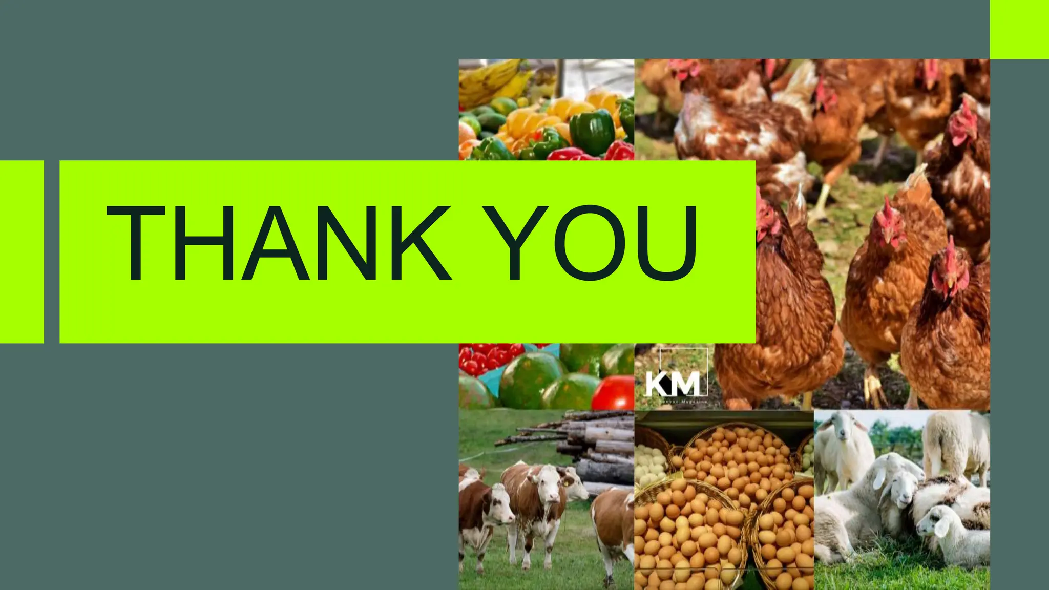 processing subsystem of crops poultry aquaculture and forestry.pptx