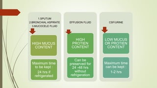 1.SPUTUM
2.BRONCHIAL ASPIRATE
3.MUCOCELE FLUID
HIGH MUCUS
CONTENT
Maximum time
to be kept :
24 hrs if
refrigerated
EFFUSION FLUID
HIGH
PROTIEN
CONTENT
Can be
preserved for
24 -48 hrs
without
refrigeration
CSF/URINE
LOW MUCUS
OR PROTIEN
CONTENT
Maximum time
can be kept :
1-2 hrs
 