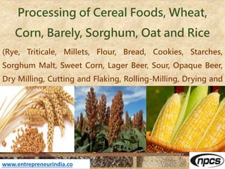 Processing of Cereal Foods, Wheat,
Corn, Barely, Sorghum, Oat and Rice
(Rye, Triticale, Millets, Flour, Bread, Cookies, Starches,
Sorghum Malt, Sweet Corn, Lager Beer, Sour, Opaque Beer,
Dry Milling, Cutting and Flaking, Rolling-Milling, Drying and
Cooling,)
www.entrepreneurindia.co
 
