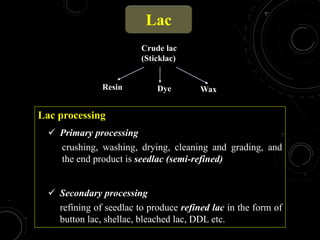 Processing of NRGs_Dr Kale.pptx