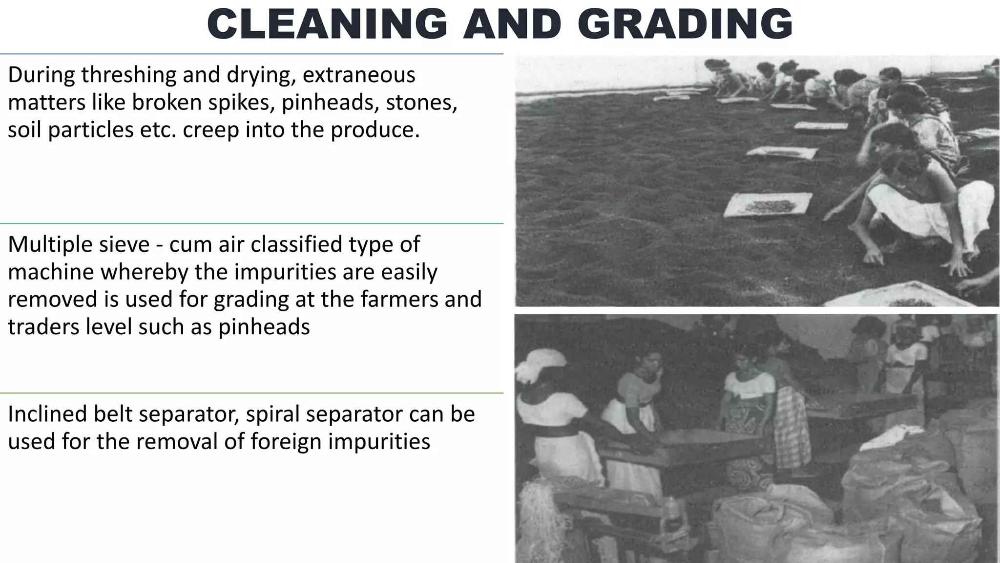 CLEANING AND GRADING
During threshing and drying, extraneous
matters like broken spikes, pinheads, stones,
soil particles etc. creep into the produce.
Multiple sieve - cum air classified type of
machine whereby the impurities are easily
removed is used for grading at the farmers and
traders level such as pinheads
Inclined belt separator, spiral separator can be
used for the removal of foreign impurities
 
