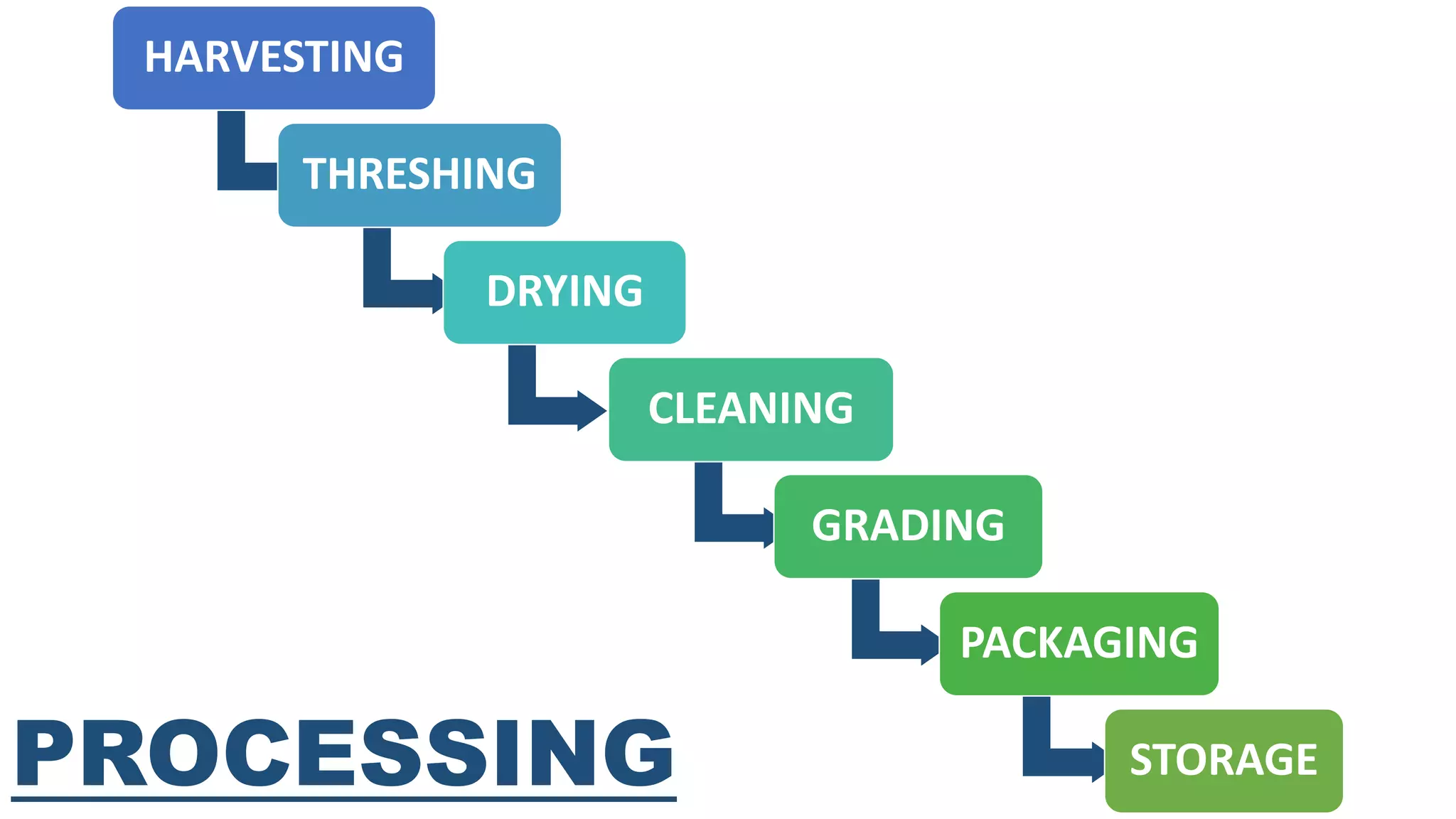 HARVESTING
THRESHING
DRYING
CLEANING
GRADING
PACKAGING
STORAGEPROCESSING
 