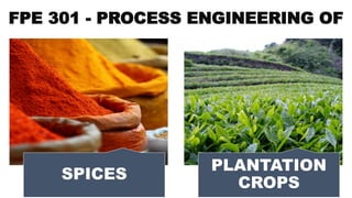 FPE 301 - PROCESS ENGINEERING OF
SPICES
PLANTATION
CROPS
 