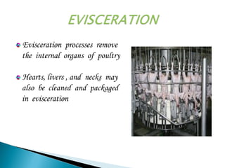 Evisceration processes remove
the internal organs of poultry
Hearts, livers , and necks may
also be cleaned and packaged
in evisceration
 