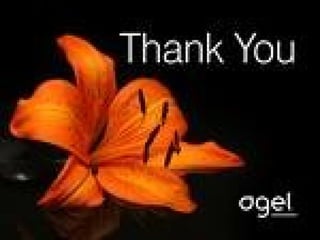 Processing of poultry