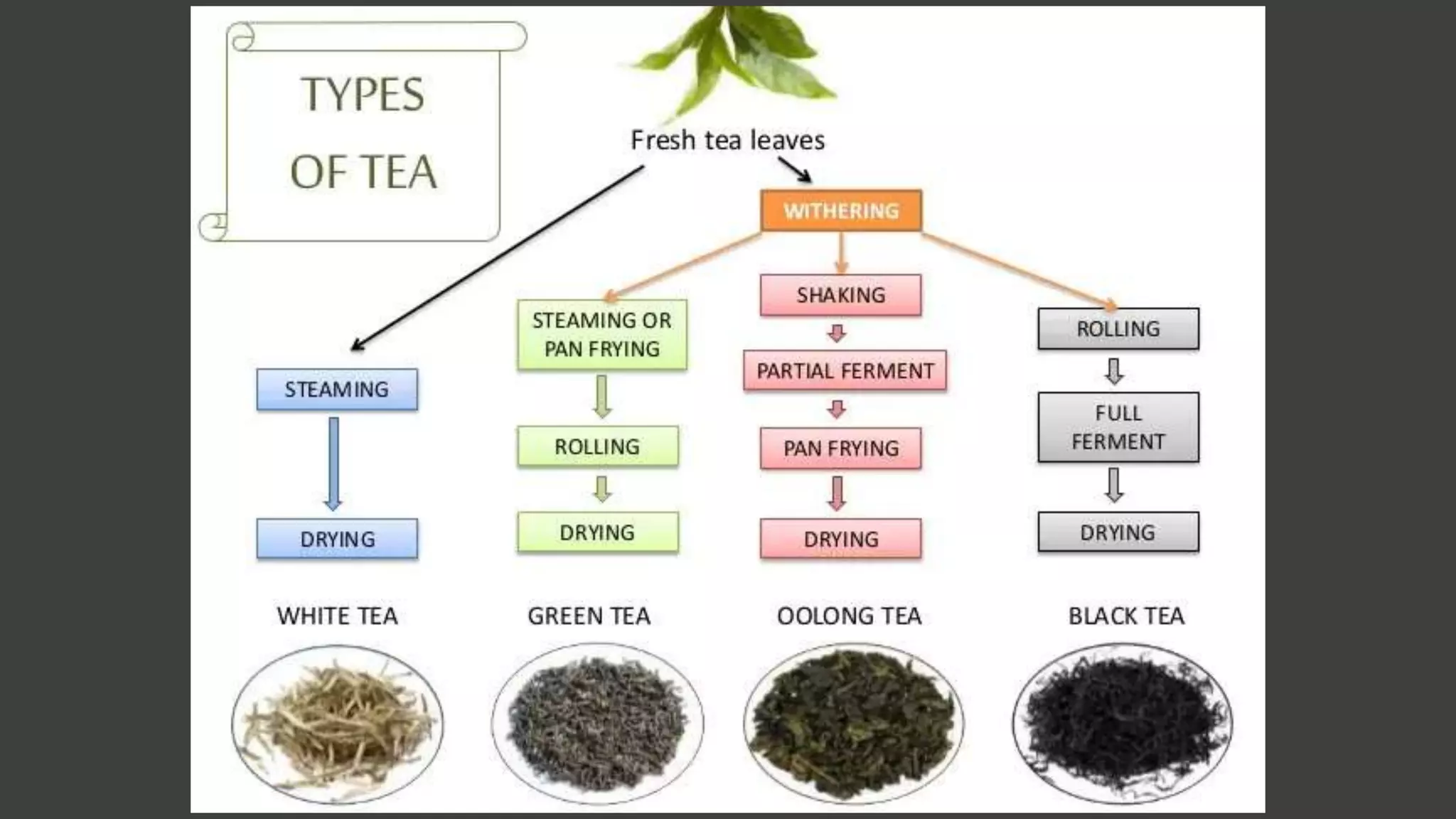 Processing Of Tea | PPTX