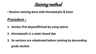 Stainingmethod
• Routine staining done with Hematoxylin & Eosin
Procedure :
1. Section first deparaffinised by using xylene
2. Hematoxylin is a water based dye
3. So sections are rehydrated before staining by descending
grade alcohol
 