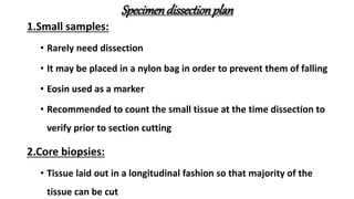 Specimendissectionplan
1.Small samples:
• Rarely need dissection
• It may be placed in a nylon bag in order to prevent them of falling
• Eosin used as a marker
• Recommended to count the small tissue at the time dissection to
verify prior to section cutting
2.Core biopsies:
• Tissue laid out in a longitudinal fashion so that majority of the
tissue can be cut
 