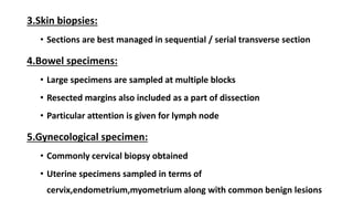 3.Skin biopsies:
• Sections are best managed in sequential / serial transverse section
4.Bowel specimens:
• Large specimens are sampled at multiple blocks
• Resected margins also included as a part of dissection
• Particular attention is given for lymph node
5.Gynecological specimen:
• Commonly cervical biopsy obtained
• Uterine specimens sampled in terms of
cervix,endometrium,myometrium along with common benign lesions
 