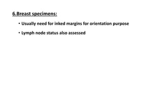 6.Breast specimens:
• Usually need for inked margins for orientation purpose
• Lymph node status also assessed
 