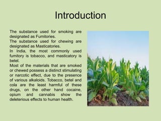 tobacco in water arsenic Arsenic in our Environment