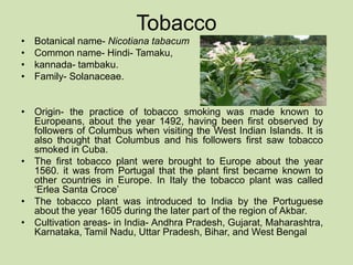 INTRODUCTION TO THE PROCESSING OF TOBACCO LEAVES.pptx