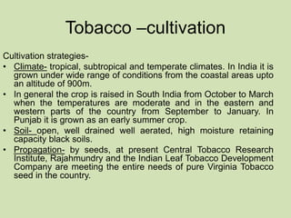 japan tobacco international annual report At a glance