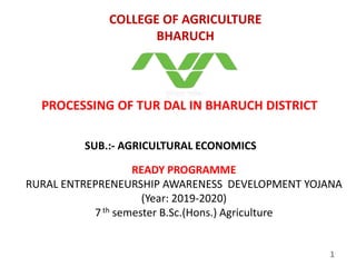 SUB.:- AGRICULTURAL ECONOMICS
COLLEGE OF AGRICULTURE
BHARUCH
READY PROGRAMME
RURAL ENTREPRENEURSHIP AWARENESS DEVELOPMENT YOJANA
(Year: 2019-2020)
7th semester B.Sc.(Hons.) Agriculture
PROCESSING OF TUR DAL IN BHARUCH DISTRICT
1
 