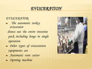 EVISCERATION
EVISCERATOR:
The automatic turkey
eviscerator
draws out the entire intestine
pack including lungs in single
operation
Other types of evisceration
equipments are
Automatic vent cutter
Opening machine
 